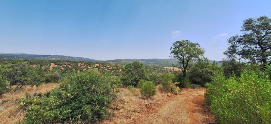 10 Bedroom Property for Sale in Swartruggens North West